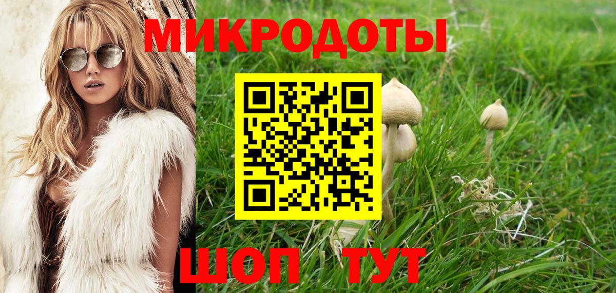 Псилоцибиновые грибы GOLDEN TEACHER  Вход с VPN  Казань 