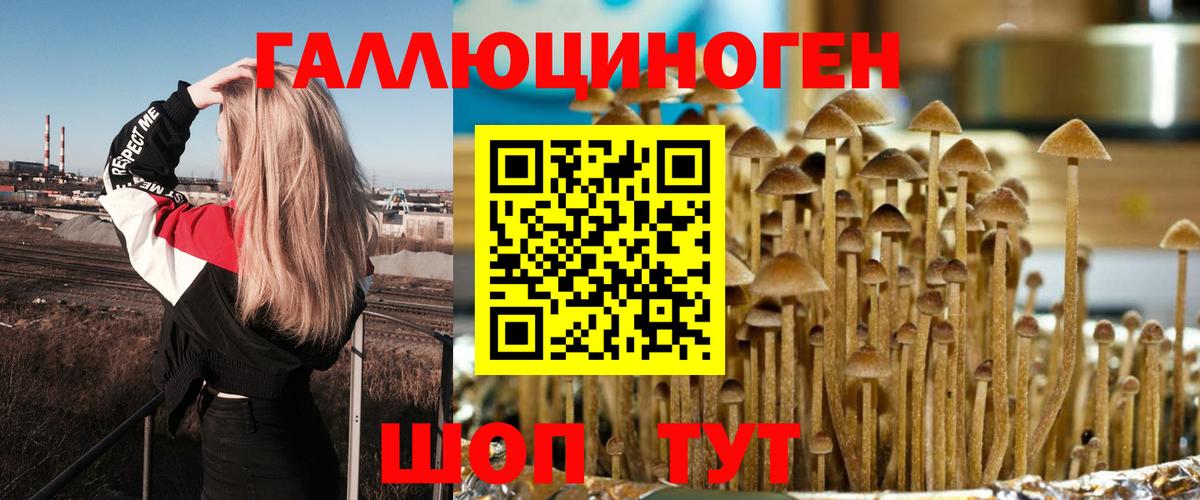 Псилоцибиновые грибы прущие грибы Казань